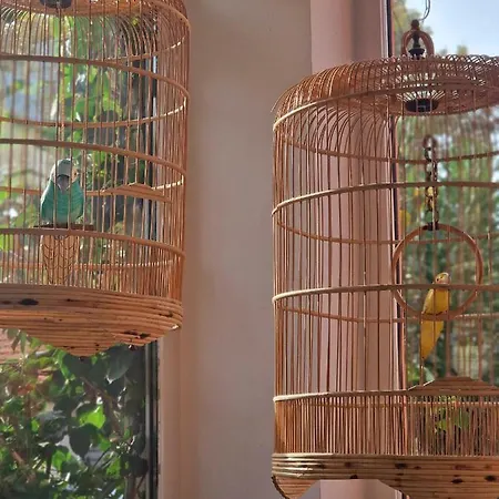 Hotel Les Lauriers 3*