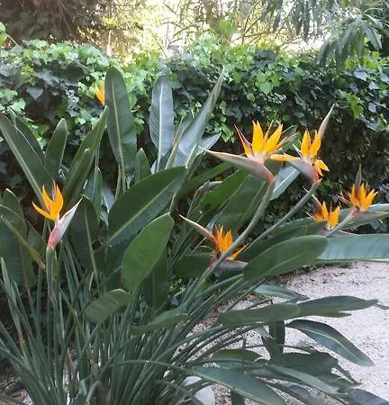 Hotel Les Lauriers 3*